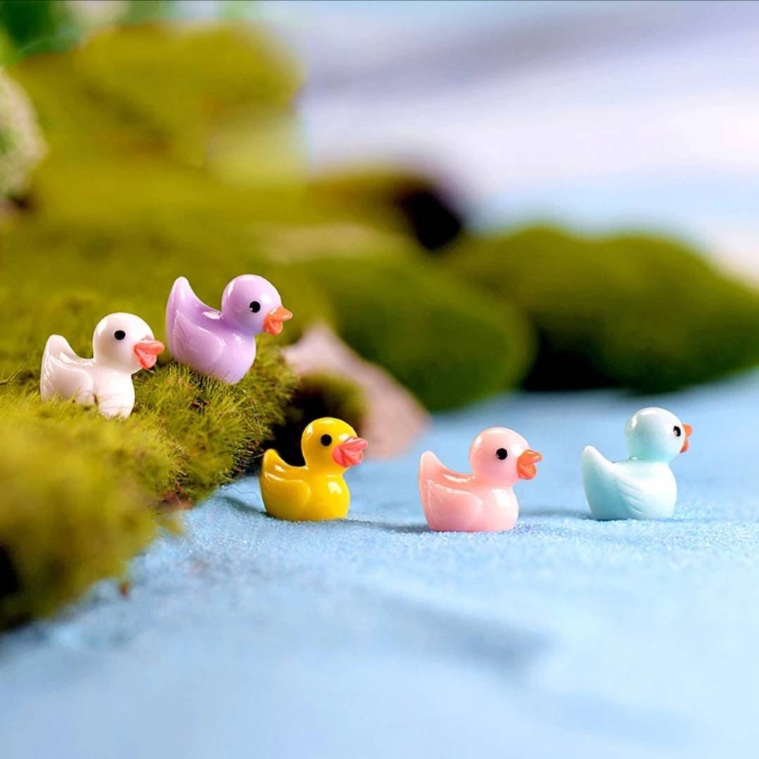 Duck Accessories